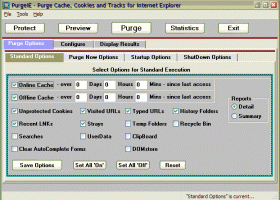 PurgeIE screenshot