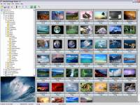 Altarsoft Image Viewer screenshot