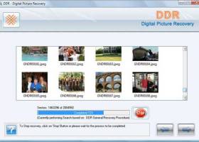 DDR Digital Pictures Recovery screenshot