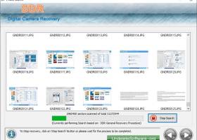 Digital Camera Picture Recovery screenshot