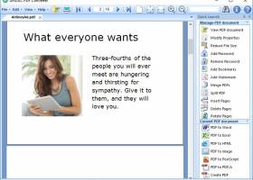 PDF Converter screenshot