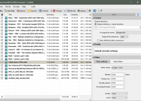 Pazera Free MKV to MP4 Converter screenshot