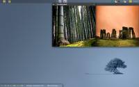 PicsONmydesk screenshot