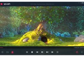 Splash - Free HD/4K Video Player screenshot