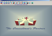 The Consultants Partner screenshot