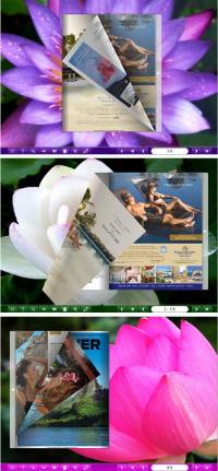 Flipbook_Themes_Package_Classical_Lotus screenshot