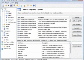 DTM Schema Reporter screenshot