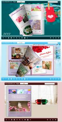Flip_Themes_Package_float_New_Year screenshot