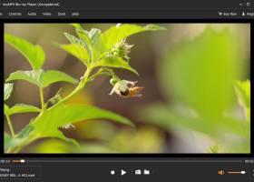 AnyMP4 Blu-ray Player screenshot
