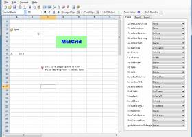 MstGrid Control for .NET screenshot