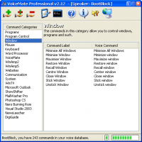 VoiceMate Professional screenshot