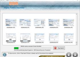 Digi Picture Recovery Tool screenshot