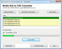 XLS to CSV Converter screenshot