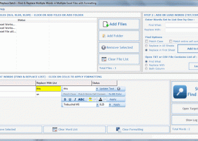 Find & Replace Batch for Excel screenshot