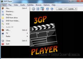 3GP Player screenshot