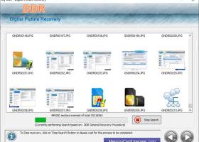 Digital Pictures Unerase Software screenshot