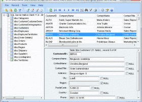 DTM Data Editor screenshot