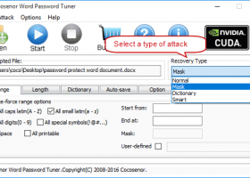 Cocosenor Word Password Tuner screenshot