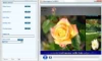 Video Capture to MPEG Converter screenshot