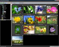 ACDSee Picture Frame Manager screenshot