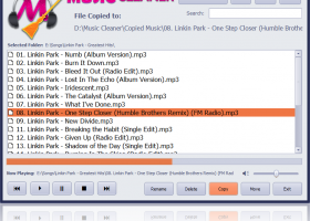 Music Cleaner screenshot