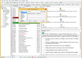 GS-Base x64 screenshot