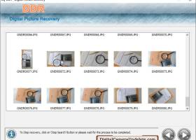 Digital Camera Undelete screenshot