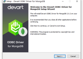 MongoDB ODBC Driver by Devart screenshot