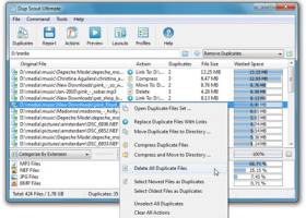 DupScout Ultimate screenshot