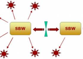 SBW - Systems Biology Workbench screenshot
