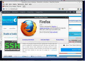 Firefox 17 screenshot