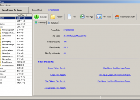 FMS File Size screenshot