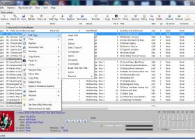 MP3 Tag Express screenshot