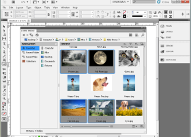 Adobe InDesign CS5 screenshot