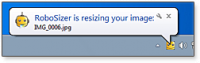 RoboSizer screenshot
