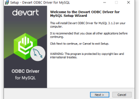 Devart ODBC Driver for MySQL screenshot