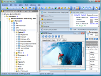MS SQL Maestro screenshot