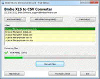 Birdie XLS to CSV Converter screenshot