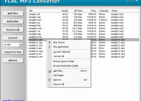 FLAC MP3 Converter screenshot