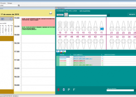 OdonGesPro screenshot