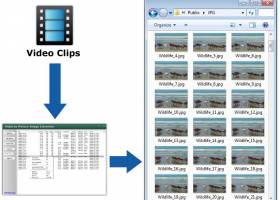 Video to Picture Image Converter screenshot