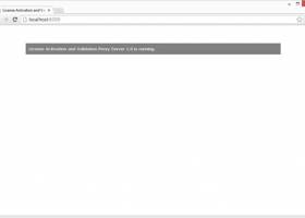 License Activation and Validation Proxy screenshot