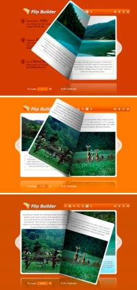 Flip_Themes_Package_Conciseness_Orange screenshot