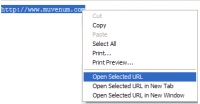 IE Open Selected URL screenshot