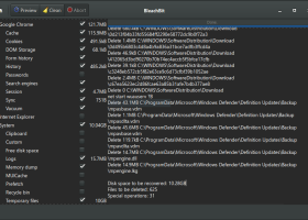 Portable BleachBit screenshot