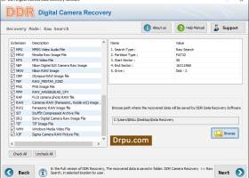 001Micron Digital Camera Data Recovery screenshot