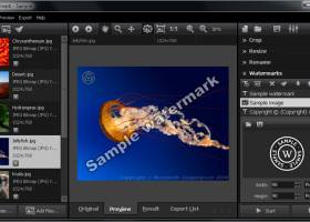 Total Watermark Professional screenshot