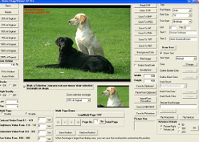 Viscomsoft Image Viewer CP Pro SDK screenshot