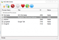 NCS WinVisible screenshot