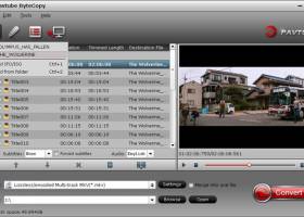 Pavtube ByteCopy screenshot